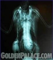 Golden Palace's latest acquisition - the Alien Duck