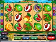 JackpotCity.com Offers Lots of Slots 