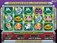 Cool Cat Cash Slot Playing Screen