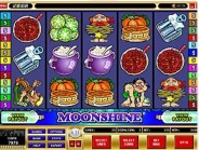 Moonshine offers a hilarious and spirited hillbilly theme.