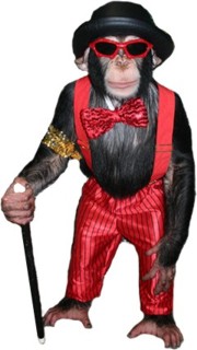 Mikey the Chimp will be competing in the World Series of Poker (WSOP)