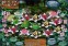 Faerie Tale Video Slots Part of Everest Casino Spring Promotion