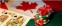 The Most Googled Online Casinos in Canada